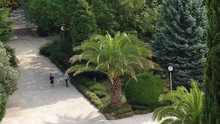 Адлер