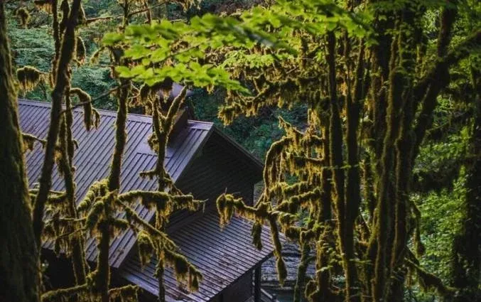 Голицыно — фото 5