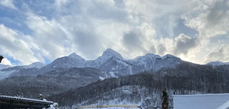 Звездная Коллекция Шале (Stellar Collection Chalet) — фото 3