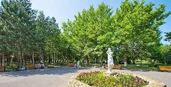 Черноморская зорька — фото 5