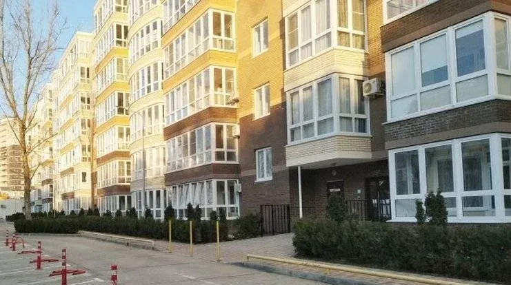 Морская горгиппия на Адмирала Пустошкина — фото 3