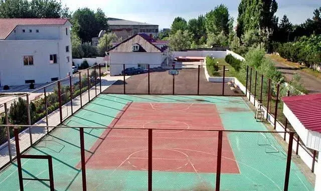 Золотая линия
