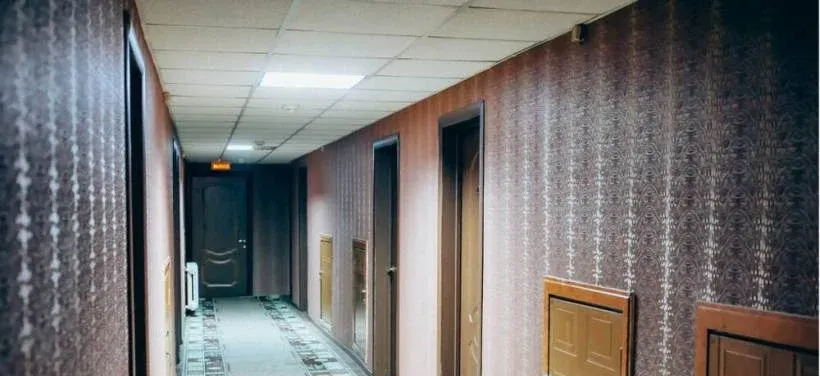 Сосновый бор — фото 2