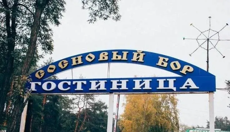 Сосновый бор — фото 4