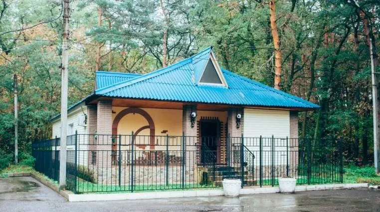 Сосновый бор — фото 5
