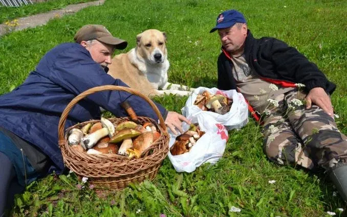 Конный двор «Струги» — фото 5