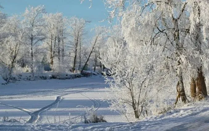 База отдыха «Медвежья кара» — фото 4