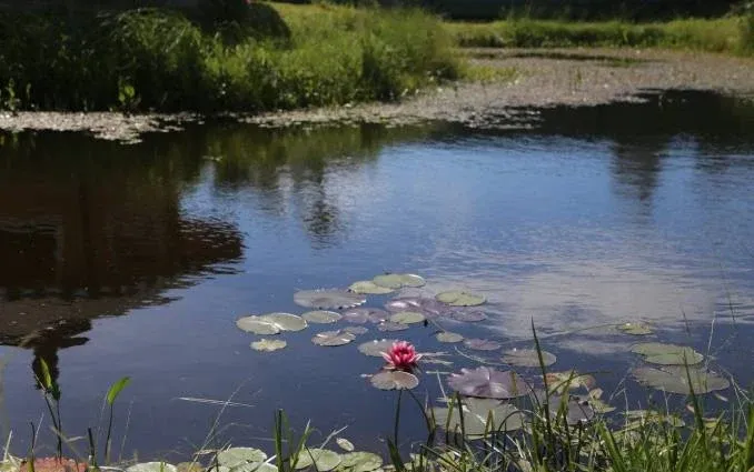 База отдыха «Свирская» — фото 3