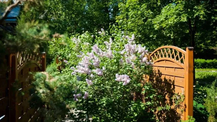 Загородный клуб «Аут» — фото 4