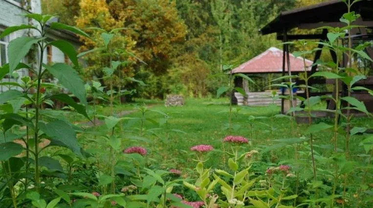 Загородный клуб «Кошкинский фарватер» — фото 4