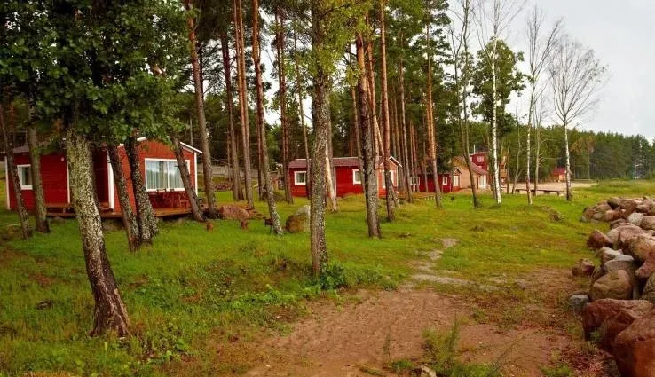 База отдыха «Окуневая» — фото 2