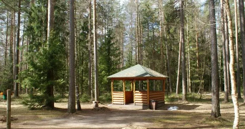 Рыболовная база «Рыбацкий хутор» — фото 3