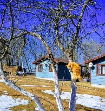 Коттеджный комплекс «Зимняя сказка» — фото 5