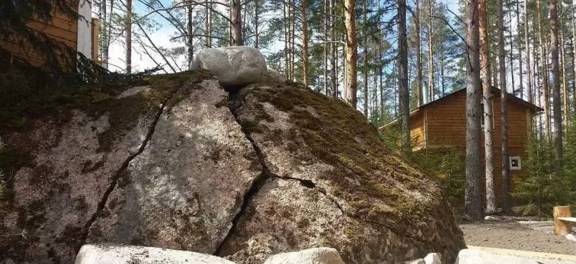 Черный лис (Black Fox)
