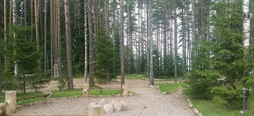 Черный лис (Black Fox) — фото 3