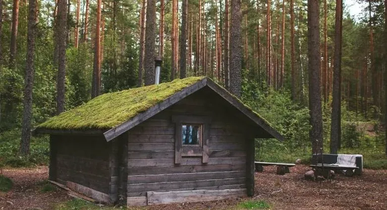 Эко-отель «Лес» — фото 4