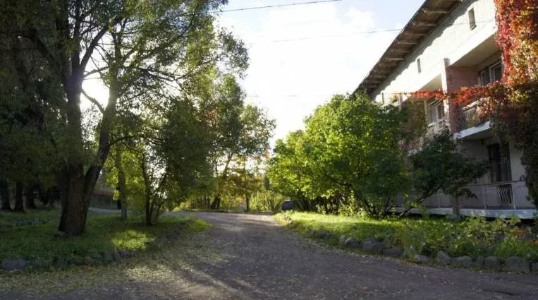 Карельская березка — фото 3