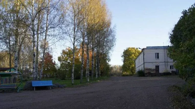Карельская березка — фото 4