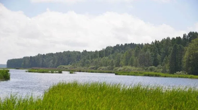 Равансаари (Ravansaari) — фото 4