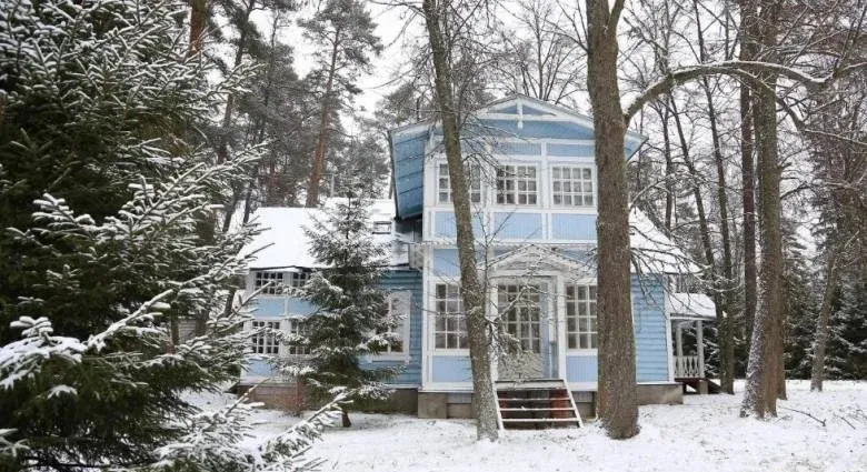 База отдыха «Вйрица Деревня» (Vyritsa Village) — фото 5