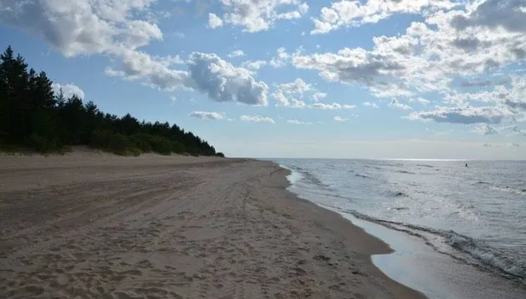 База отдыха «Кобона» — фото 4
