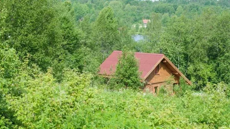 Золотая горка — фото 2