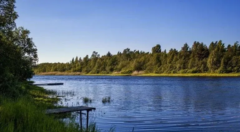 База отдыха «Карелка» — фото 2