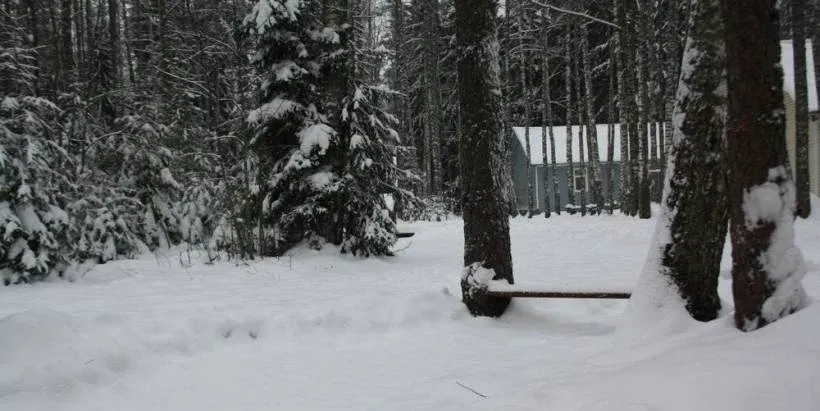 Аннушка