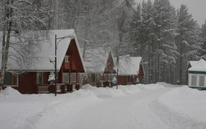 Коттеджный комплекс «Зеленый деревня» (Green village)