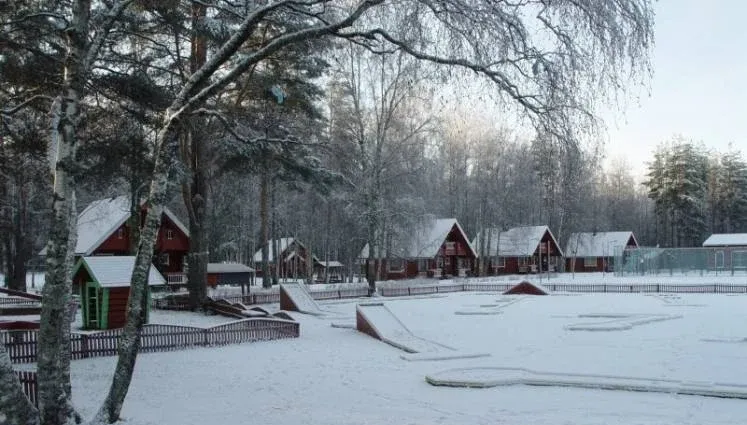 Коттеджный комплекс «Зеленый деревня» (Green village) — фото 3