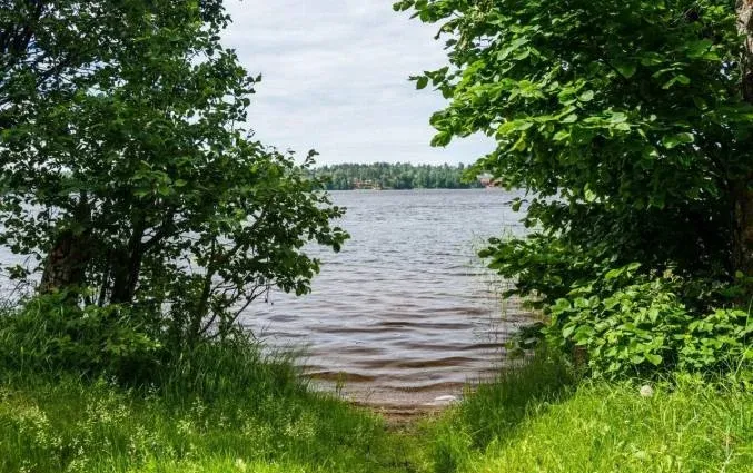 База отдыха «Тихий берег» — фото 2