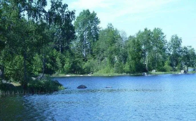Хутор белой козы — фото 5