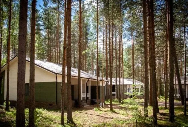 База отдыха «Эко Деревня» (Eco Village)