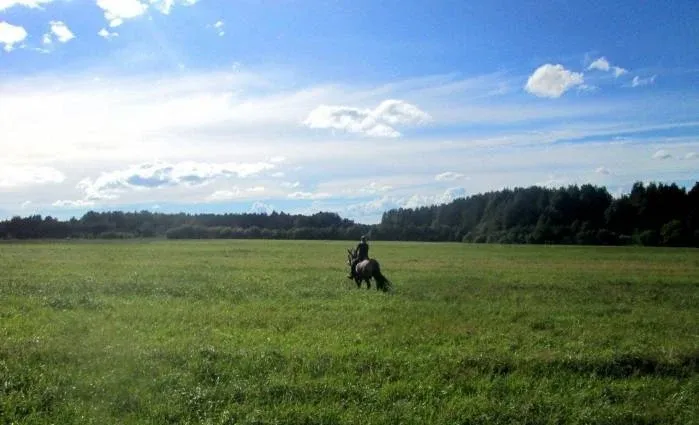 Загородный клуб «Трава»