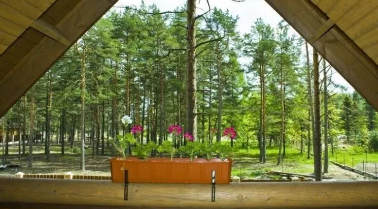Загородный коттедж-клуб «Брусника»