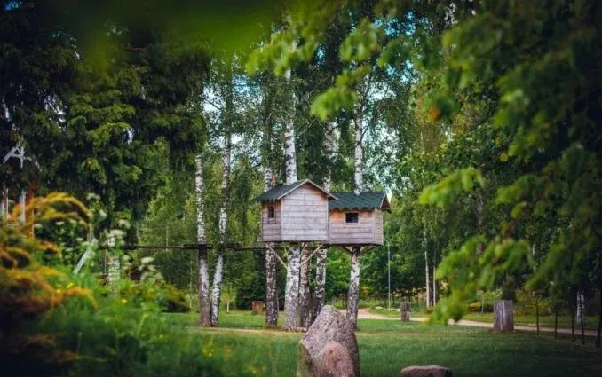 База отдыха «Дубрава» — фото 5