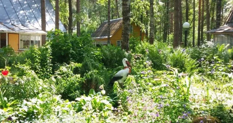 База отдыха «Холодный ручей» — фото 2