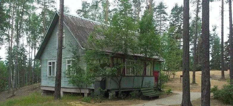 Фрегат
