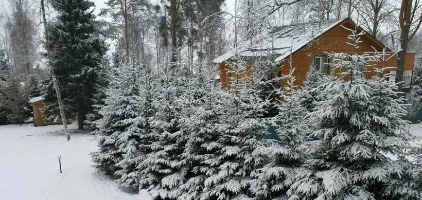 Ломаранта