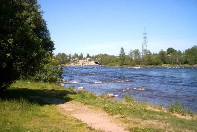 Лосевская
