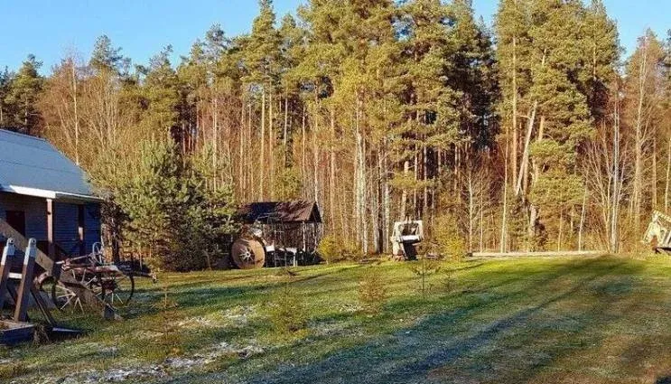 База Отдыха Усадьба лесника — фото 2