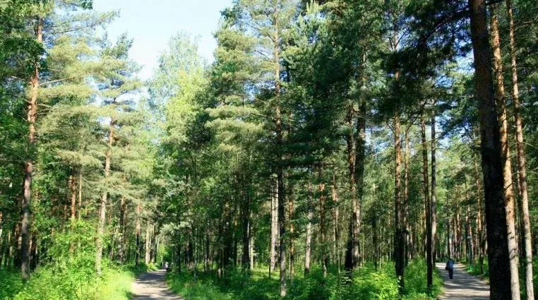 Сестрорецкий курорт