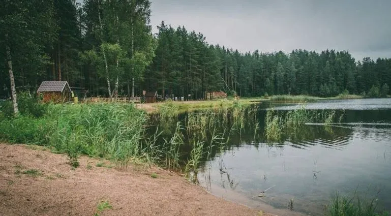 База отдыха «Пикник»