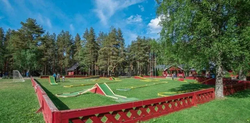 Брусника — фото 2