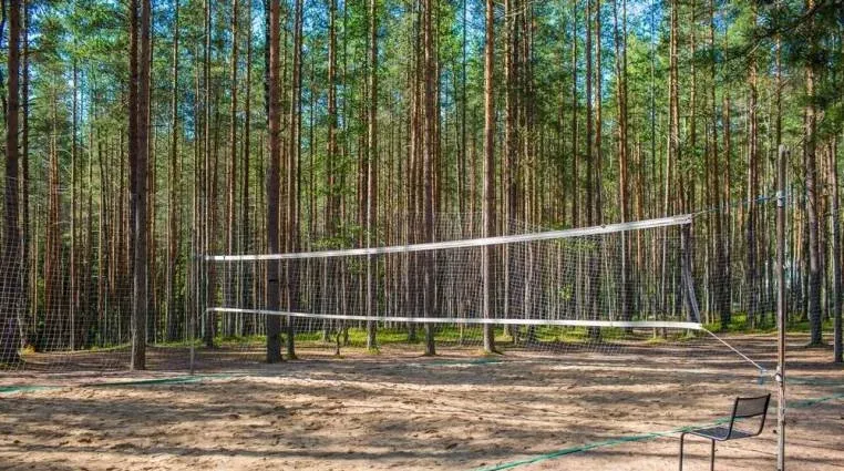 Университетский