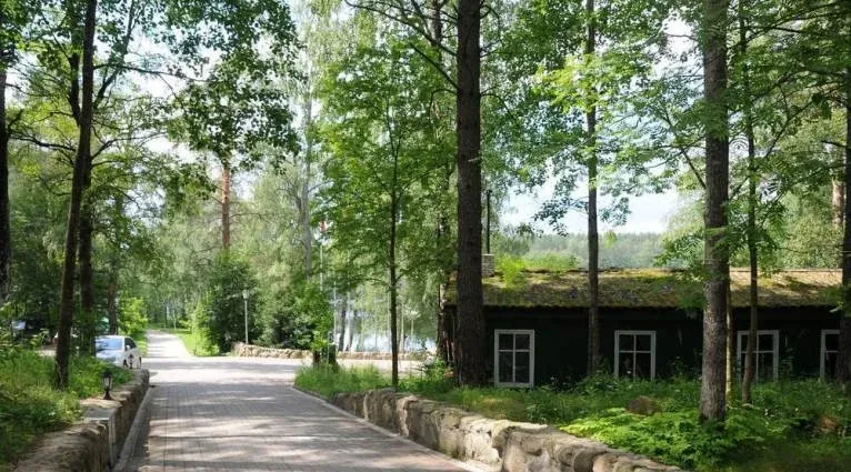 Ромашка