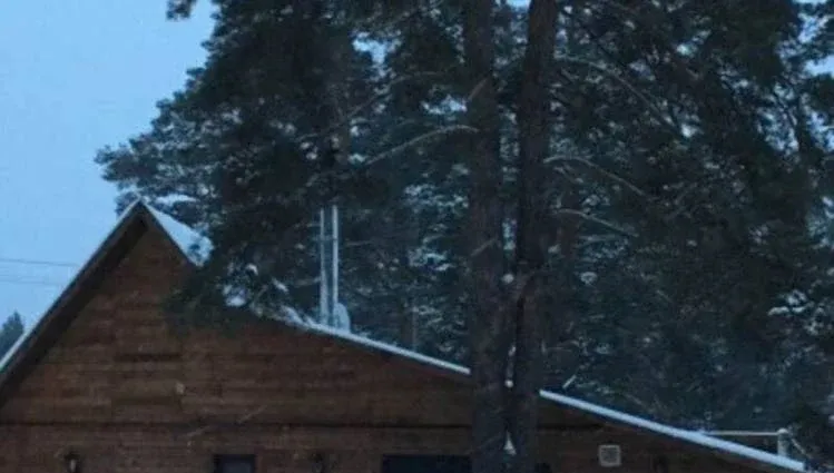 Загородный отдых — фото 3