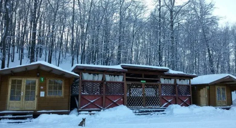 Спортивно-туристическая база «Лес Парк» (Форест Парк)