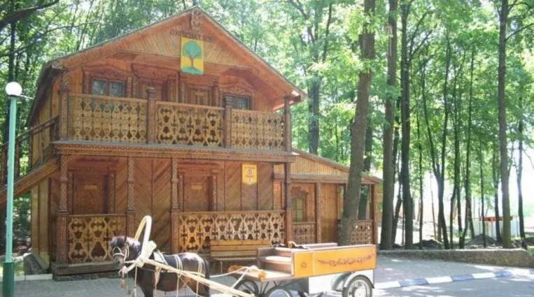 Голубой огонёк — фото 5