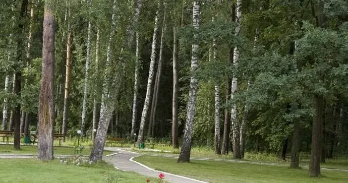 Конобеево — фото 5